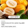 성주 꿀 참외 10kg
