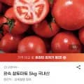완숙 찰토마토 5kg