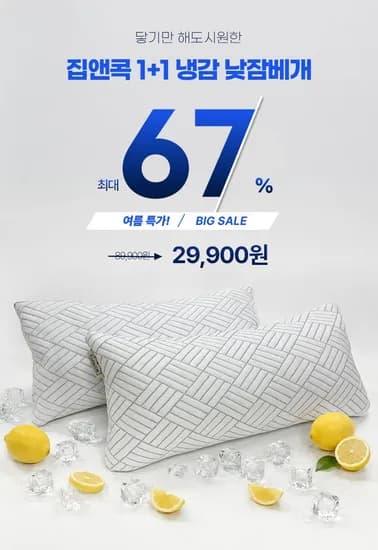 메밀 경추베개 거북목 일자목 +1 29,900원1