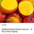 국내산 신선복숭아 1kg 중대과 10-11과 (8,590원/무료)