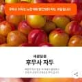 후무사 자두 5kg 16,380원