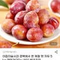 제철 햇자두 5kg (14,600원/무배)