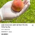 국내 고당도 말랑이 복숭아 2KG (16,570원/무료)