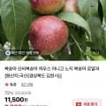 신비복숭아 중소과 2kg (9,200원/무배)