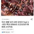 국산 생물 녹진 내장 오징어 1kg(6-8미) 당일바리 초코오징어 통찜용