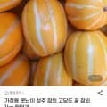 가정용 성주 참외 1kg (5,400원/무료)