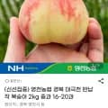 대극천 복숭아 2kg