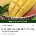 마하차녹 망고 무지개망고 2kg