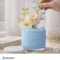 고체탈취제 코튼향 오브제