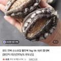 완도 전복 산소포장 활전복 1kg 1-15미 중대복 (18,900원 /무료)