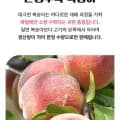 대극천 복숭아 3kg(혼합과)