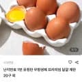 난각번호 1번 유정란 무항생제 프리미엄 닭걀 계란 20구 외 (9,60원/무배)8