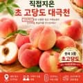 대극천 복숭아 3kg (15~23과) 대과