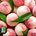백도복숭아 4kg 중소과 (19,990원/무료)
