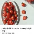 스테비아 방울토마토 토망고 500g 4팩 (8,900원/무배쿠폰)