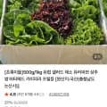 초록이들 유러피안 쌈 500g (4,720원/무료)