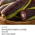 흑찰 옥수수 20개 특품 (20,790원 / 무배)