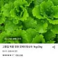 로메인청상추 1kg (4,960원/무료)