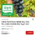 친환경 무농약 국내산 블랙펄 포도 20브릭스 고당도 1kg(1~3수) (17,660원/무료)
