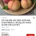 고당도 대극천 복숭아 납작 복숭아 3kg (18,020원/무료)
