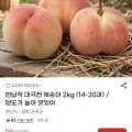 반납작 대극천 복숭아 2kg (9,990원/무료)