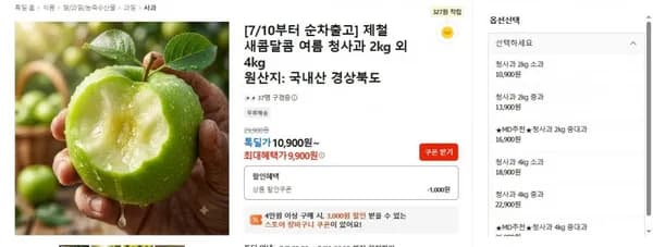 국내산 여름 청사과 2kg