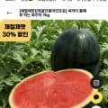 정읍 흑수박 7kg (21,700원/무배)