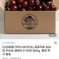 항공직송 미국 생 체리 9-9.5R 800그램 (15,980원/무료)