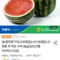 논산농협 정품 씨 적은 수박 8kg (16,320원/무료)