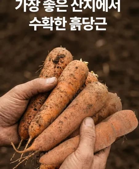 국내산 흙당근 .5kg ( 2,590원/ 네멤무배 )1