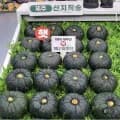 미니밤호박 특품 3kg (9,80원/무료)2