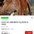국내산 여수 생물 돌문어 1kg (16,600원/무료)