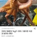 자연산 돌문어 1kg (18,960원 / 무배)