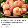 대극천 복숭아 중소과 2kg (0,500원 / 무료)1