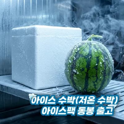 씨적은 아이스 수박 7kg (19,120원/무료)