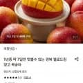 경북 옐로드림 망고 복숭아 (11,500원/무료)