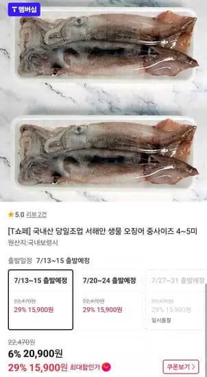 국내산 생물 오징어 중사이즈 4~5미 (T멤버십15,900원/무배)