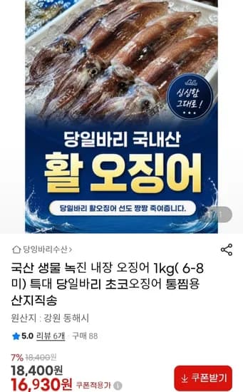 국산 생물 녹진 내장 오징어 1kg( 6-8미)  당일바리 초코오징어 통찜용( 16,930/무배)