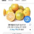 하우스 감귤 1.5kg 중과 (7,085원/무배)