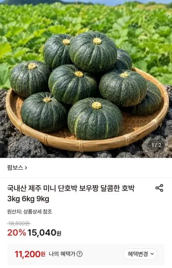 국내산 제주 미니 단호박 6kg 로얄과 (1,200원/무료)1