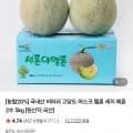 국내산 비파괴 고당도 머스크 멜론 메론 수 5kg [15,920/무배]2