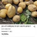 26년 햇 감자 중 10kg (11,030원/무료)