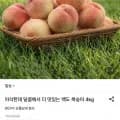 딱딱이 백도 복숭아 4kg 25-30과 (5,130원/무료)1