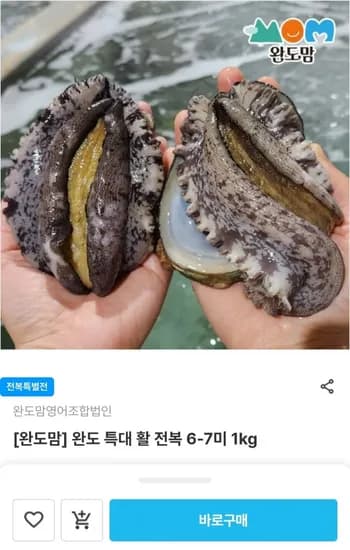 완도 특대 활 전복 6-7미 1kg (17,920원/무배)