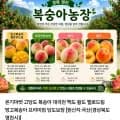 고당도 대극천 복숭아 중소과 kg (10,500원/무료)2