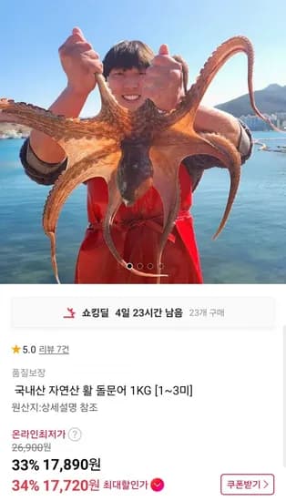 국내산 자연산 활 돌문어 1KG 1~3미 (17,890원/무료배송)