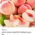 딱딱이복숭아 소과 2kg (10,900원 / 무배)