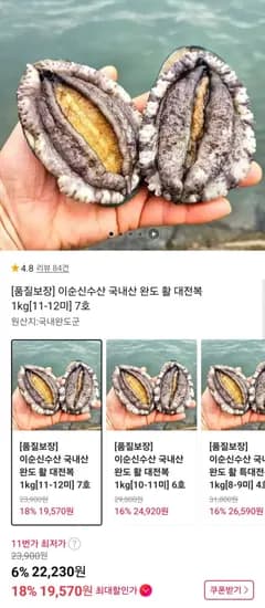 국내산 완도 활 대전복 kg 11-12미 (19,570원/무배)1
