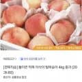 딱복 아삭이 털복숭아 4kg 중과 (20과내외)(3,930원/무배)1