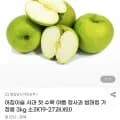 첫 수확 청사과 kg 소과 19~27과 (12,300원/무배)3